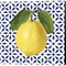 Mediterranean Lemon by Seven Trees Design - 24x24 Canvas Art Print